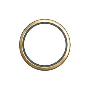 3S9643 LIP SEAL THERMOSTAAT